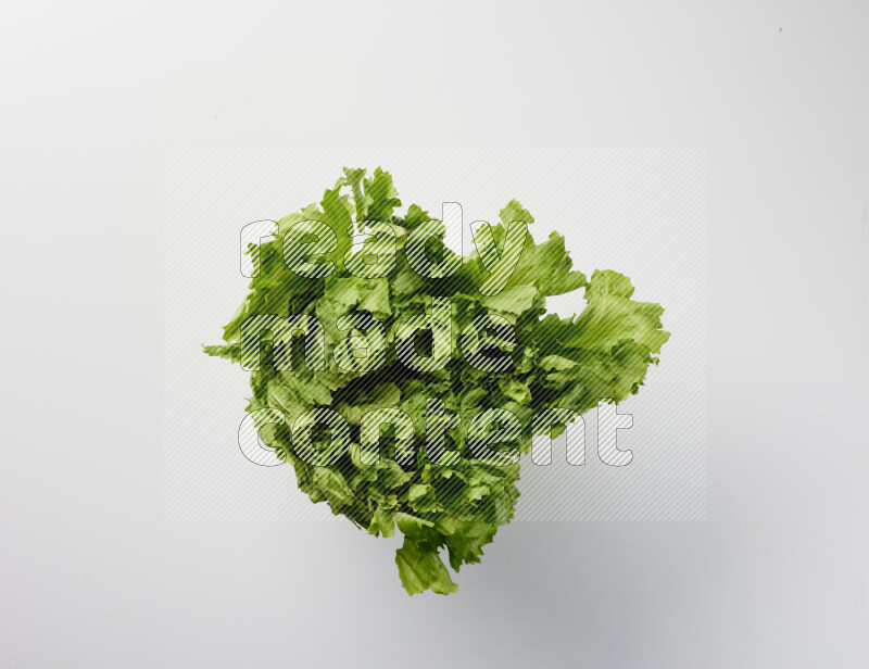 A fresh head of lettuce with green leaves on white background