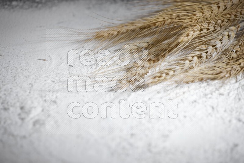 Wheat stalks on flour