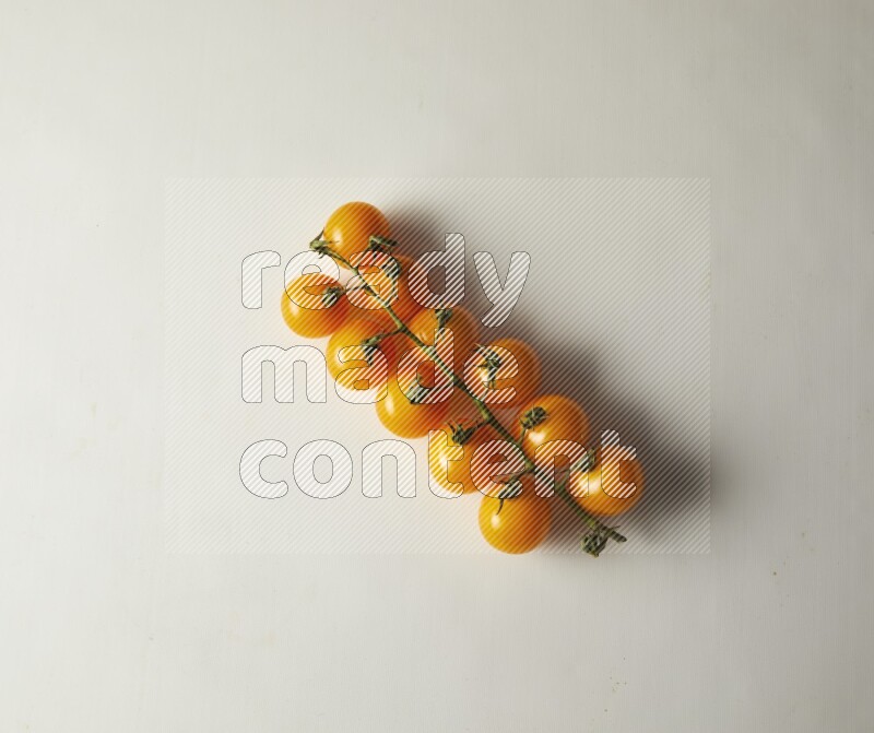 Single cherry tomato vein topview on a white background