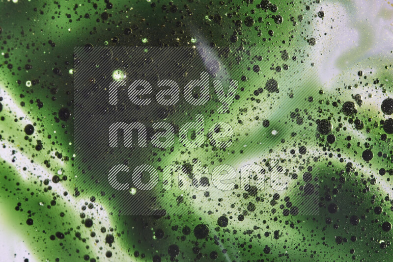 Close-ups of abstract green watercolor drops on oil Surface on white background
