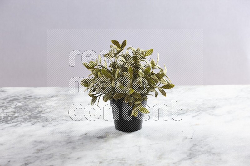 Green artificial plant in black pot on grey marble background