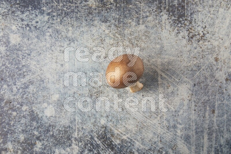 small fresh Cremini wood mushrooms topview on blue textured background