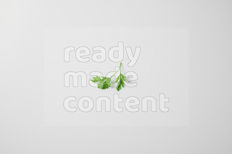 Scattered fresh parsley leaves on white background