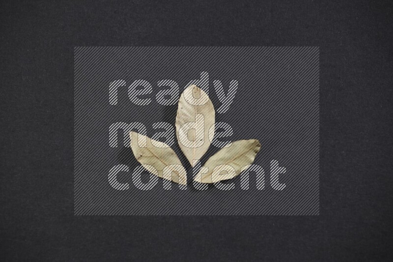Dried bay leaves on black flooring
