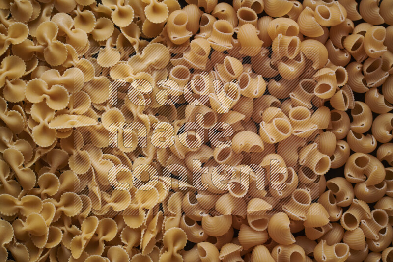 2 types of pasta filling the frame