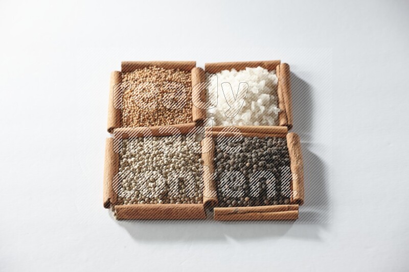 4 squares of cinnamon sticks full of mustard, salt, white pepper and black pepper on white flooring