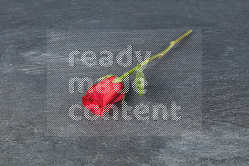 A single red rose with vibrant green leaves on black marble background