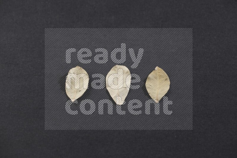 أوراق الغار المجففة علي خلفية سوداء