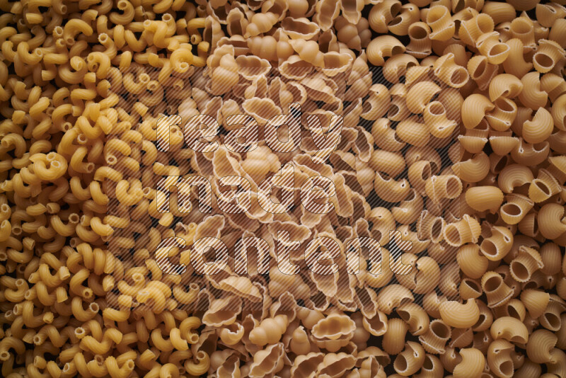 3 types of pasta filling the frame