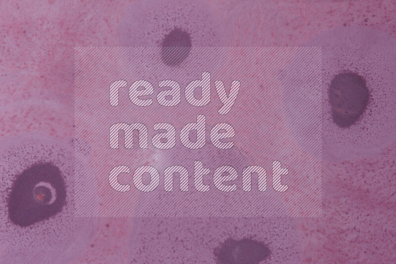 تلتقط الصورة تناثرا للطلاء الأرجواني علي خلفية بيضاء