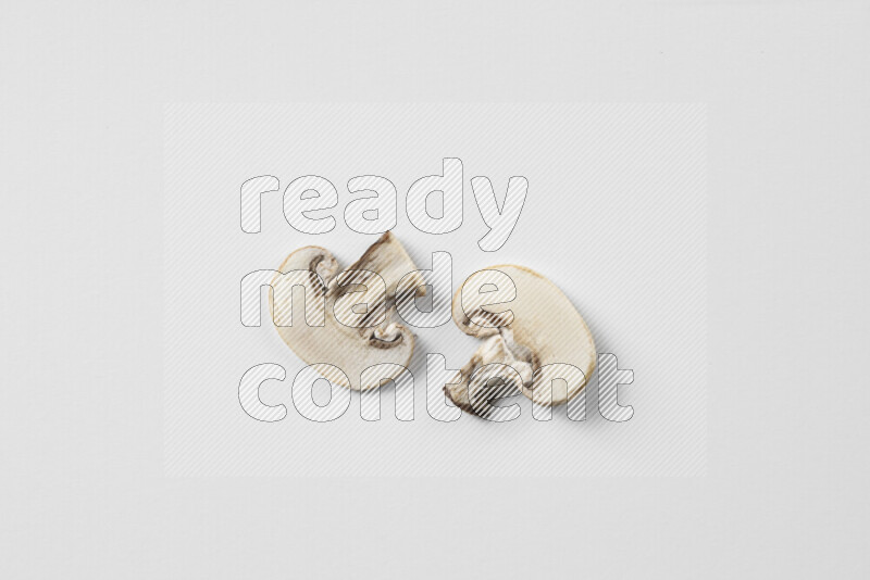 Mushrooms on white background