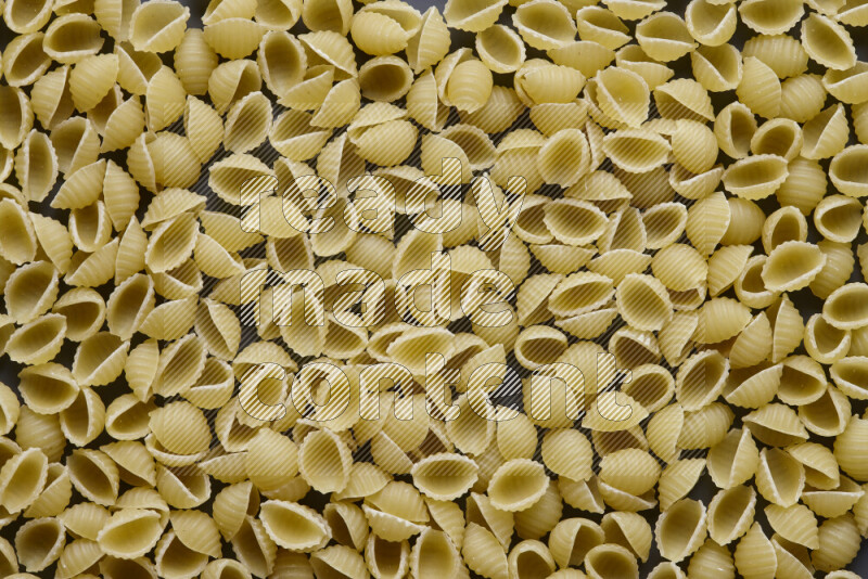 Shells pasta on grey background