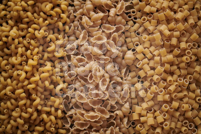 3 types of pasta filling the frame