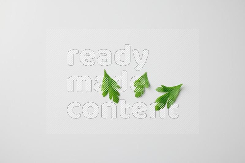 أوراق البقدونس الطازجة المتناثرة على خلفية بيضاء