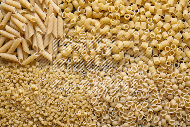 5 types of pasta filling the frame