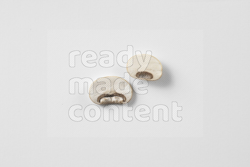 Mushrooms on white background