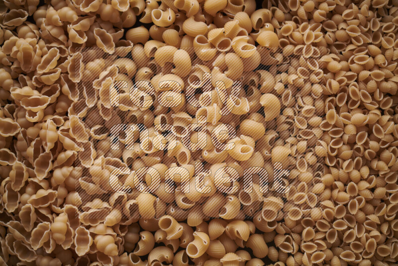 3 types of pasta filling the frame