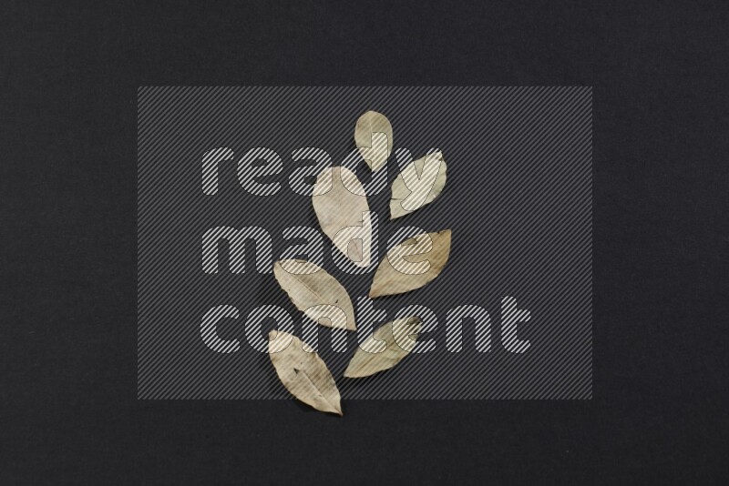 أوراق الغار المجففة علي خلفية سوداء