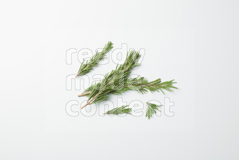 Multi fresh rosemary sprigs on white background