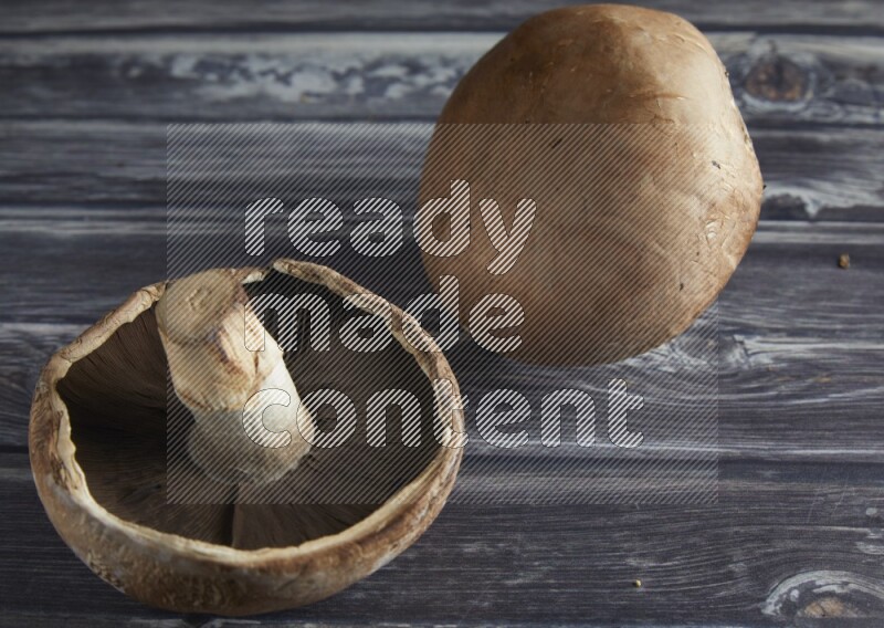 45 degree portobello mushrooms on a textured grey background