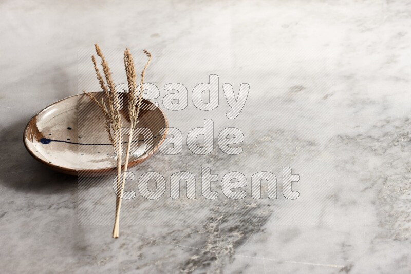 Wheat stalks on multicolored pottery plate on grey marble background