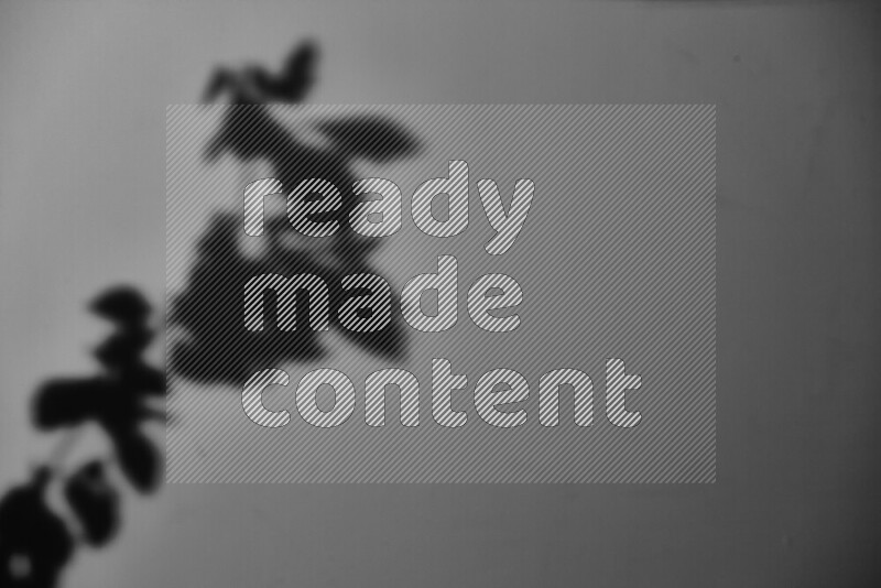 A delicate gobo light projects the silhouette of plant leaves onto a smooth surface