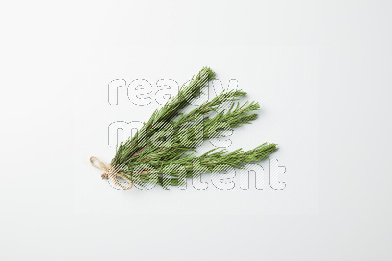 Multi fresh rosemary sprigs on white background