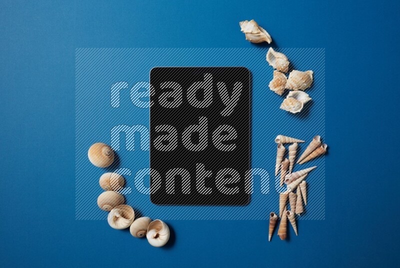 top view shot of a tablet, and seashells on blue background