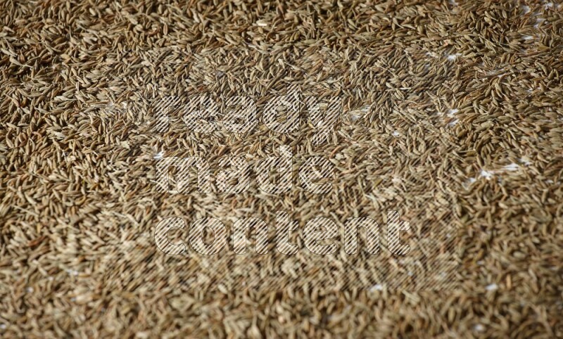 Cumin seeds on white flooring