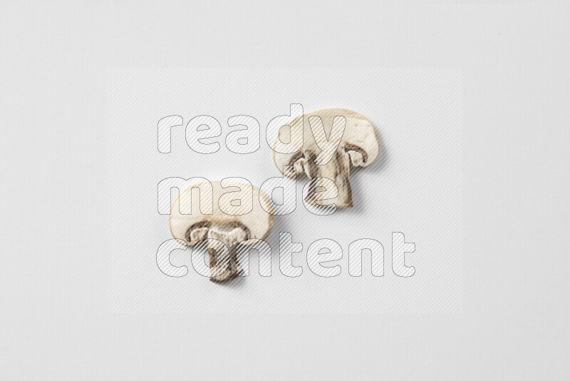 Mushrooms on white background