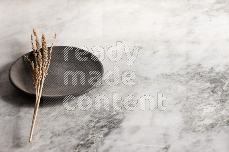 Wheat stalks on black pottery plate on grey marble background