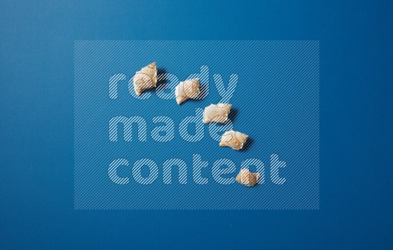 top view shot of seashells arrangement on blue background