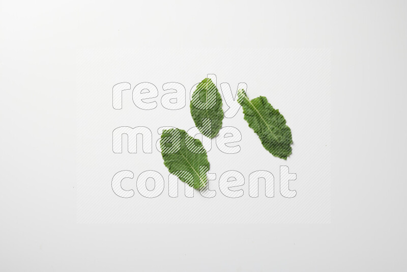 An array of kale leaves spread out on a white background