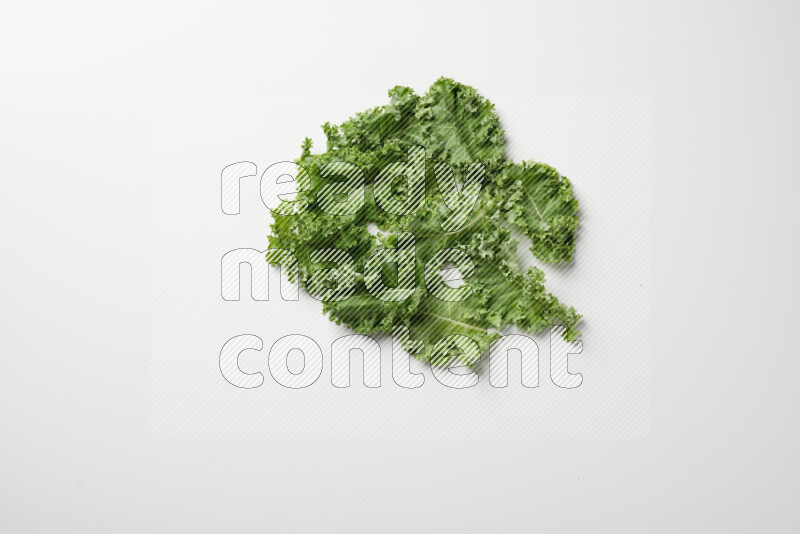 An array of kale leaves spread out on a white background