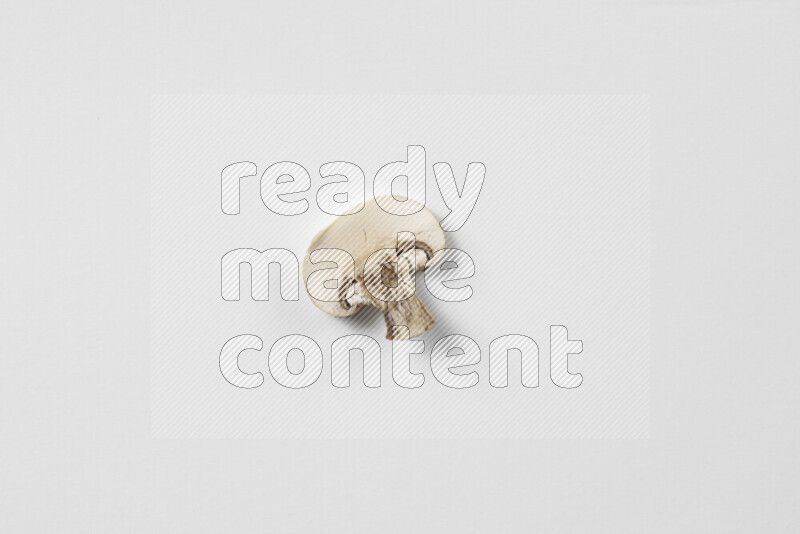 Mushrooms on white background