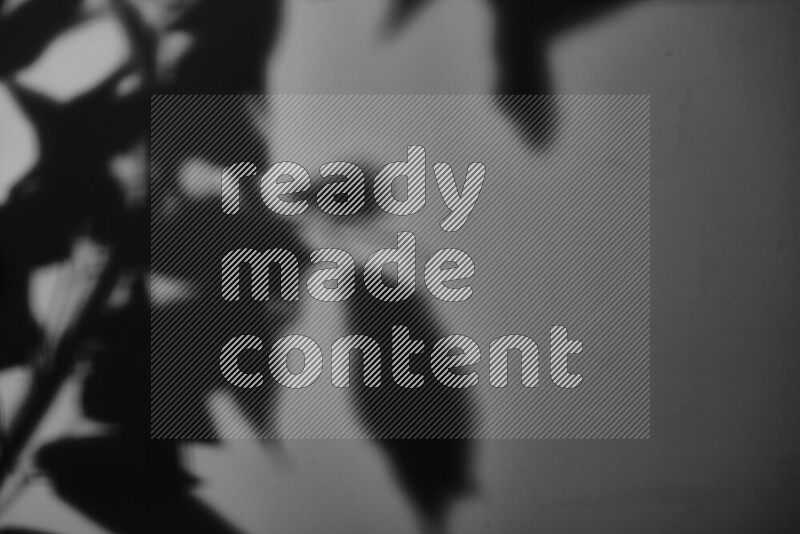 يظهر ضوء غوبو خافت ظلال أوراق نبات تسقط على سطح ناعم