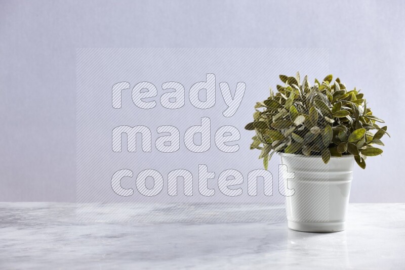 Multiple green artificial plants in white pot on grey marble background