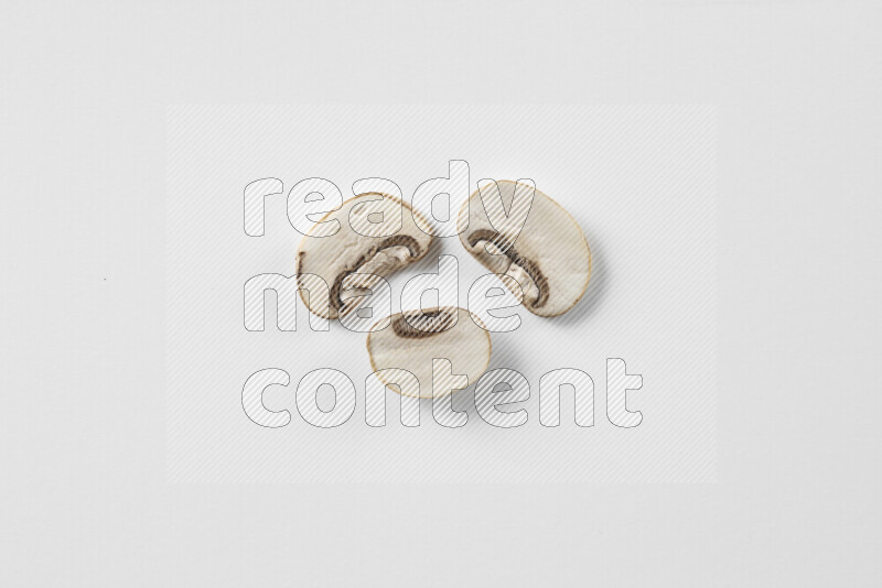 Mushrooms on white background
