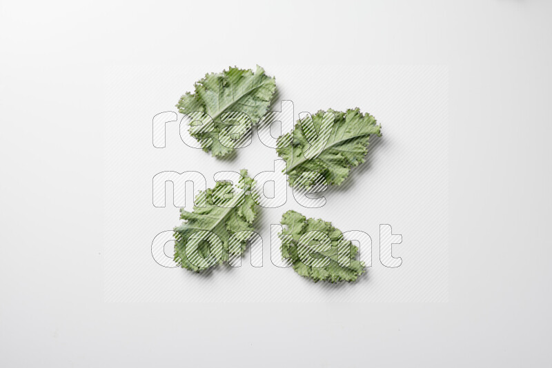 An array of kale leaves spread out on a white background