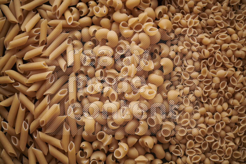 3 types of pasta filling the frame
