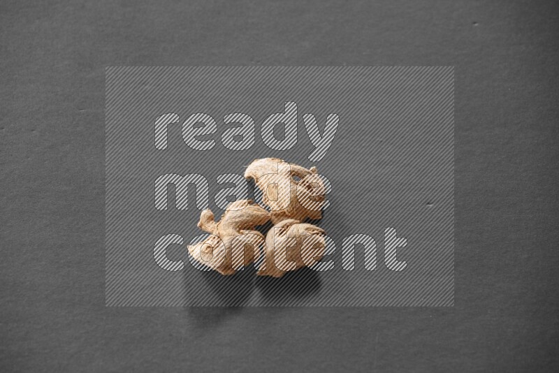 Ginger on a black flooring