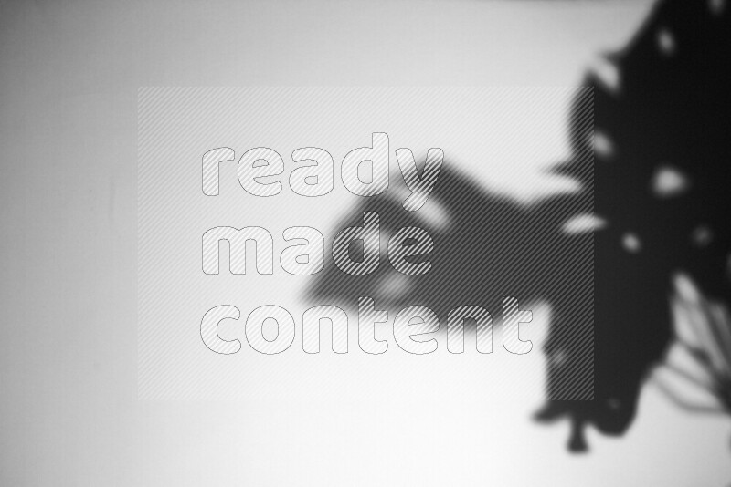 A delicate gobo light projects the silhouette of plant leaves onto a smooth surface