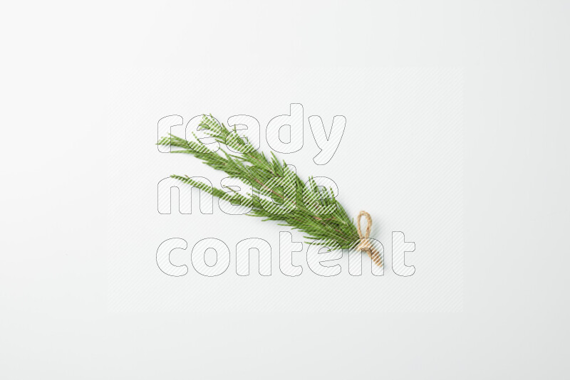 Three fresh rosemary sprigs on white background