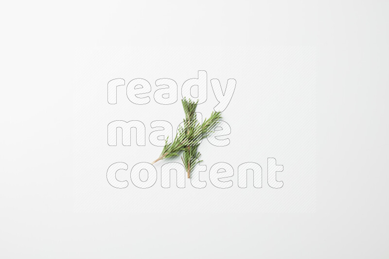 Two fresh rosemary sprigs on white background