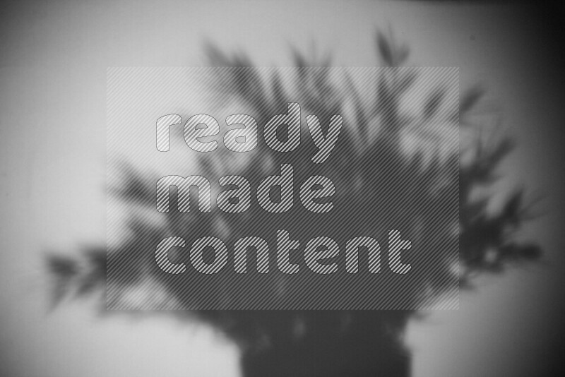 يظهر ضوء غوبو خافت ظلال أوراق نبات تسقط على سطح ناعم