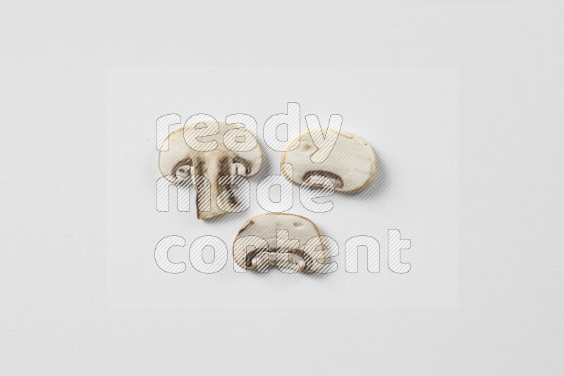 Mushrooms on white background