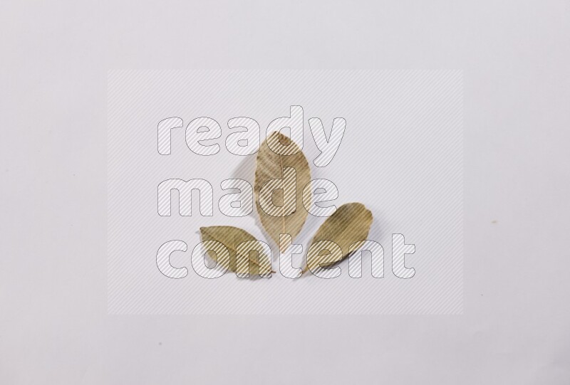Dried bay leaves on white flooring in different angles