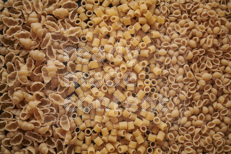 3 types of pasta filling the frame