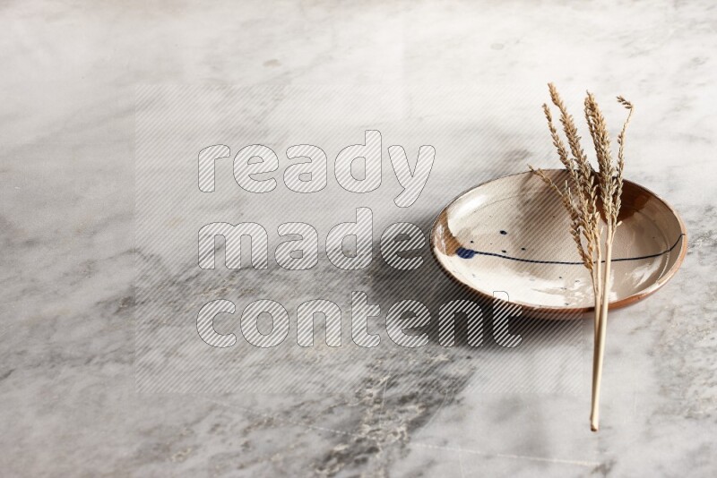 Wheat stalks on multicolored pottery plate on grey marble background