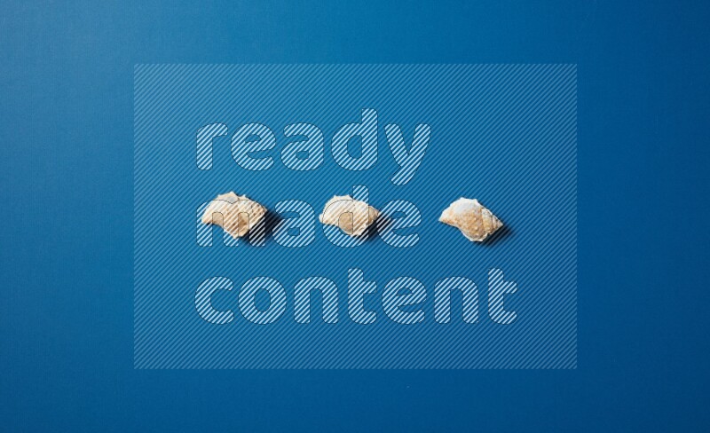top view shot of seashells arrangement on blue background